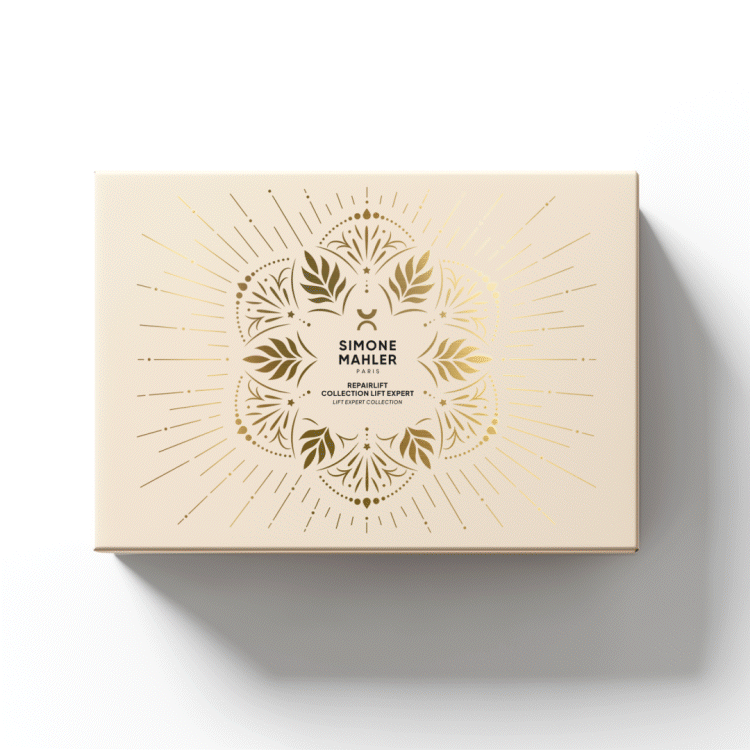 COFFRET REPAIRLIFT